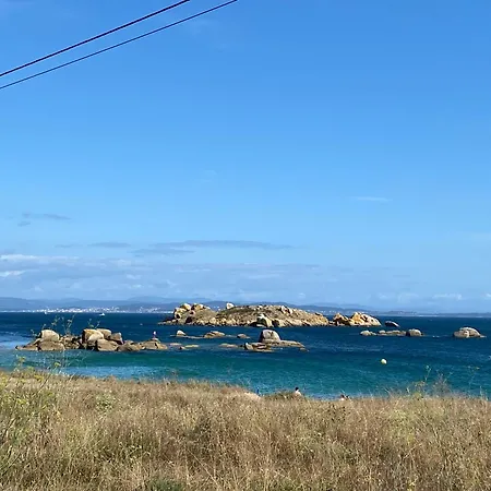 Grande Y Luminoso Palmeira