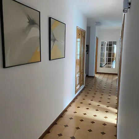 Grande Y Luminoso Palmeira